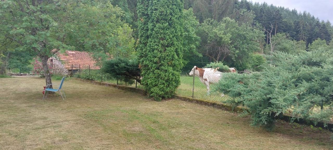 הוילה Saint-Bresson Ferme De La Grange Du Bas מראה חיצוני תמונה